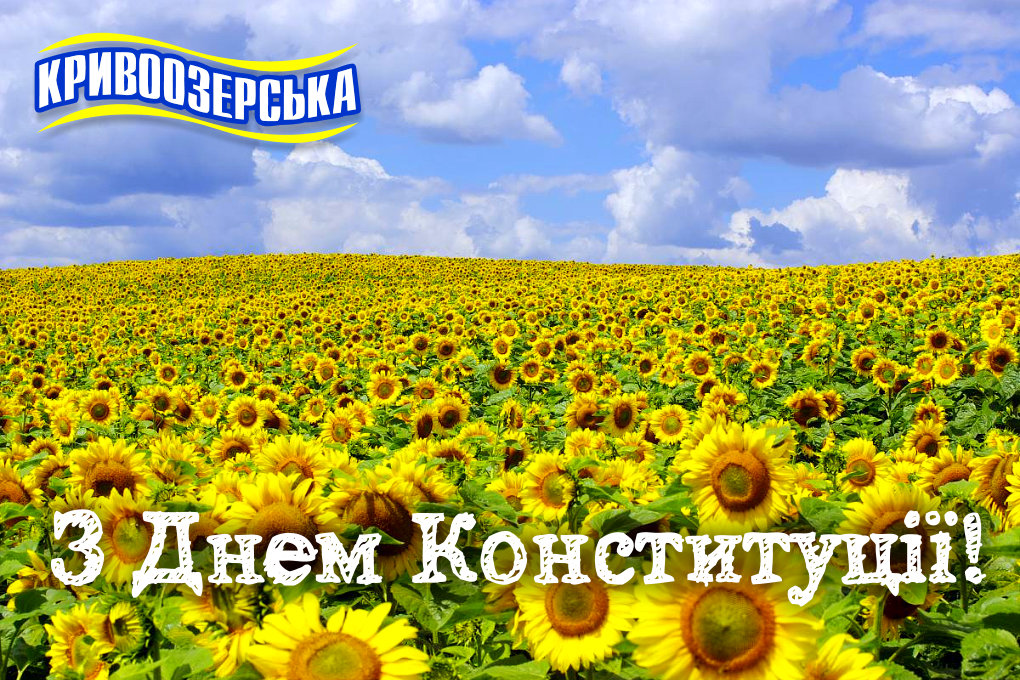 Прев'ю картинка для новини - З Днем Конституції!